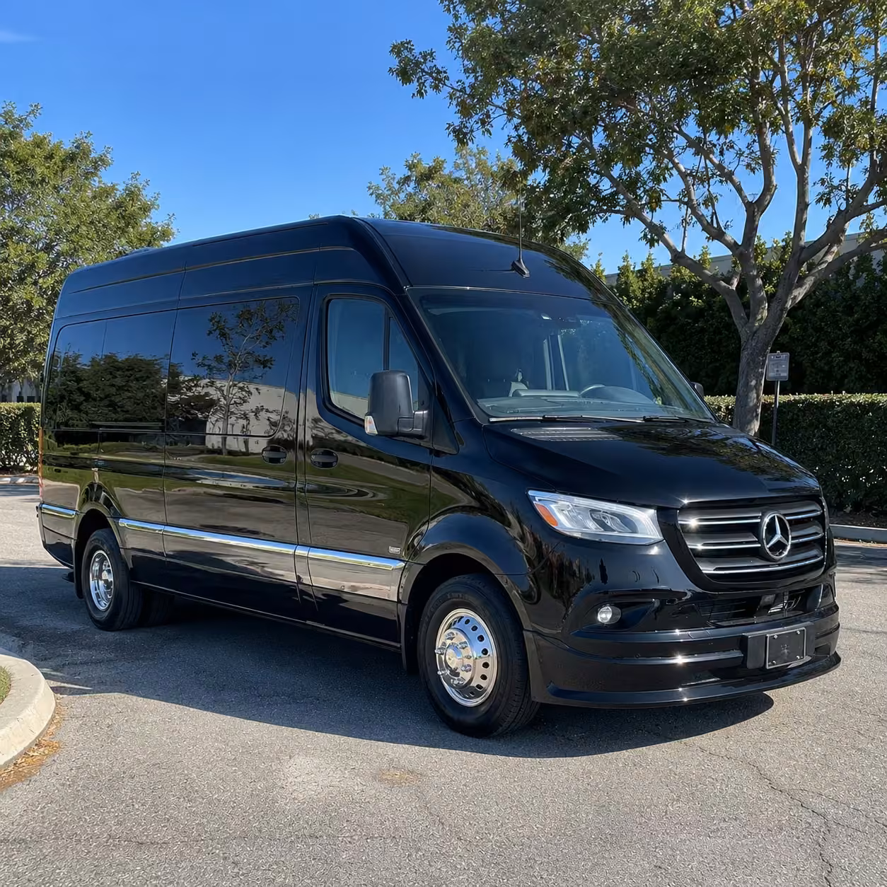 sprinter van rental with driver