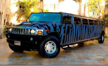 Zebra Hummer Dallas